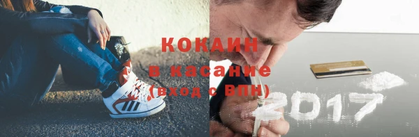 твердый Алексеевка