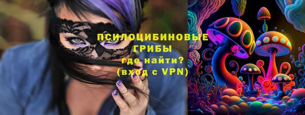 прущий лед Алексин