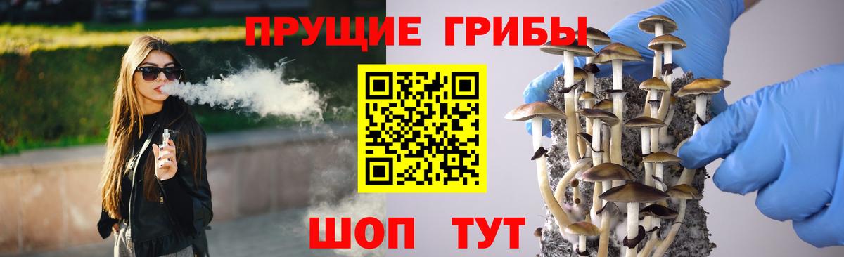 Галлюциногенные грибы Cubensis  Вход с VPN  Псилоцибиновые грибы ЛСД  Карпинск 